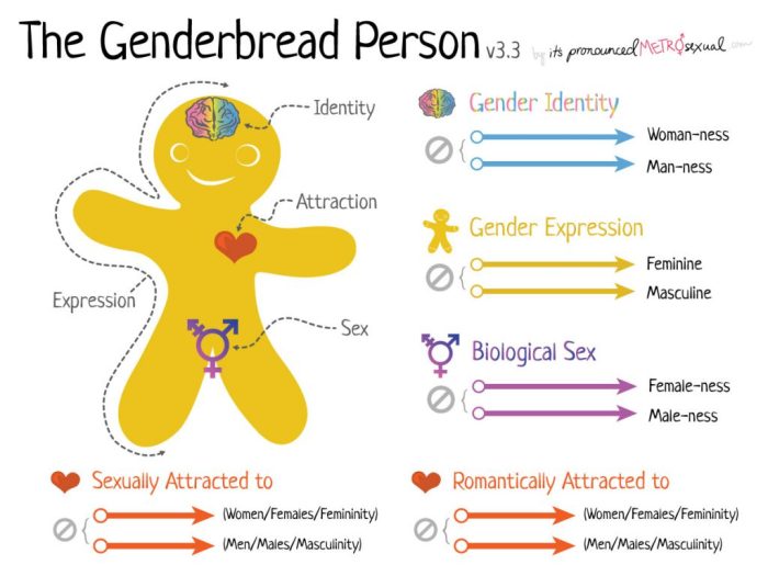 Gender unicorn vs genderbread person