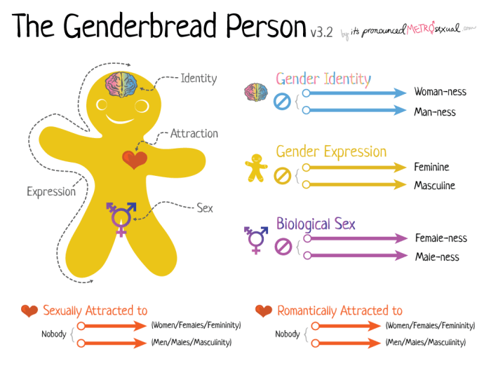 Unicorn gender