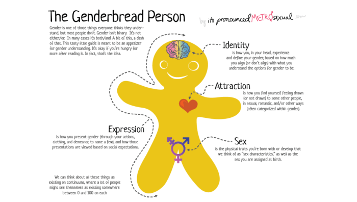 Genderbread person fanpop debate débats