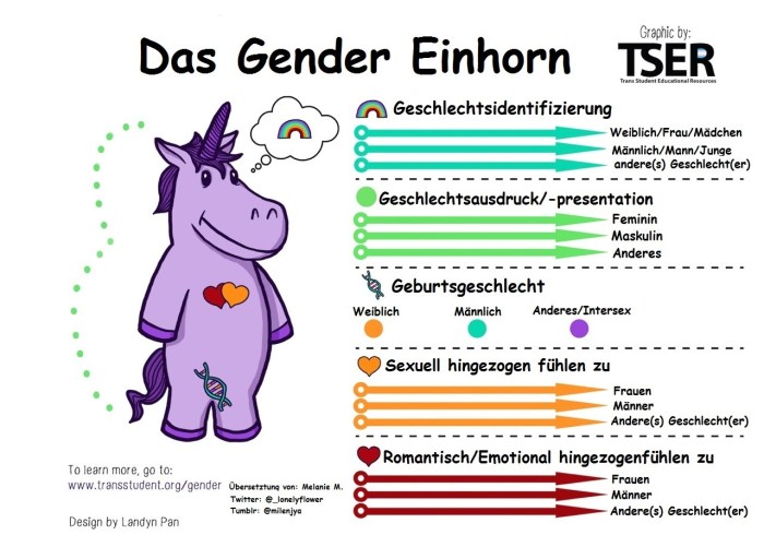 Gender unicorn vs genderbread person