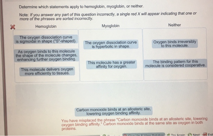 Determine which statements apply to hemoglobin myoglobin or neither