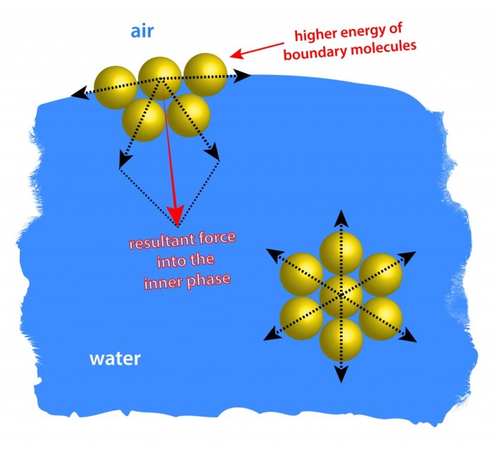 Identify the true statements about surface tension