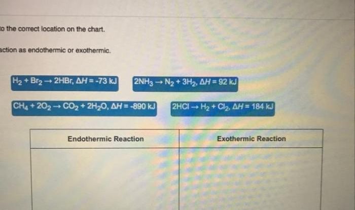 Exothermic classify endothermic reaction following each