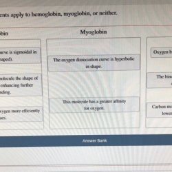 Determine which statements apply to hemoglobin myoglobin or neither