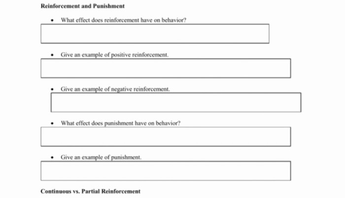 Schedules of reinforcement worksheet with answers