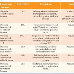 Schedules of reinforcement worksheet with answers