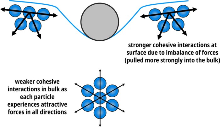 Identify the true statements about surface tension